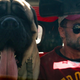 Garret Dillahunt and his canine companion in Michael Bay’s Ambulance